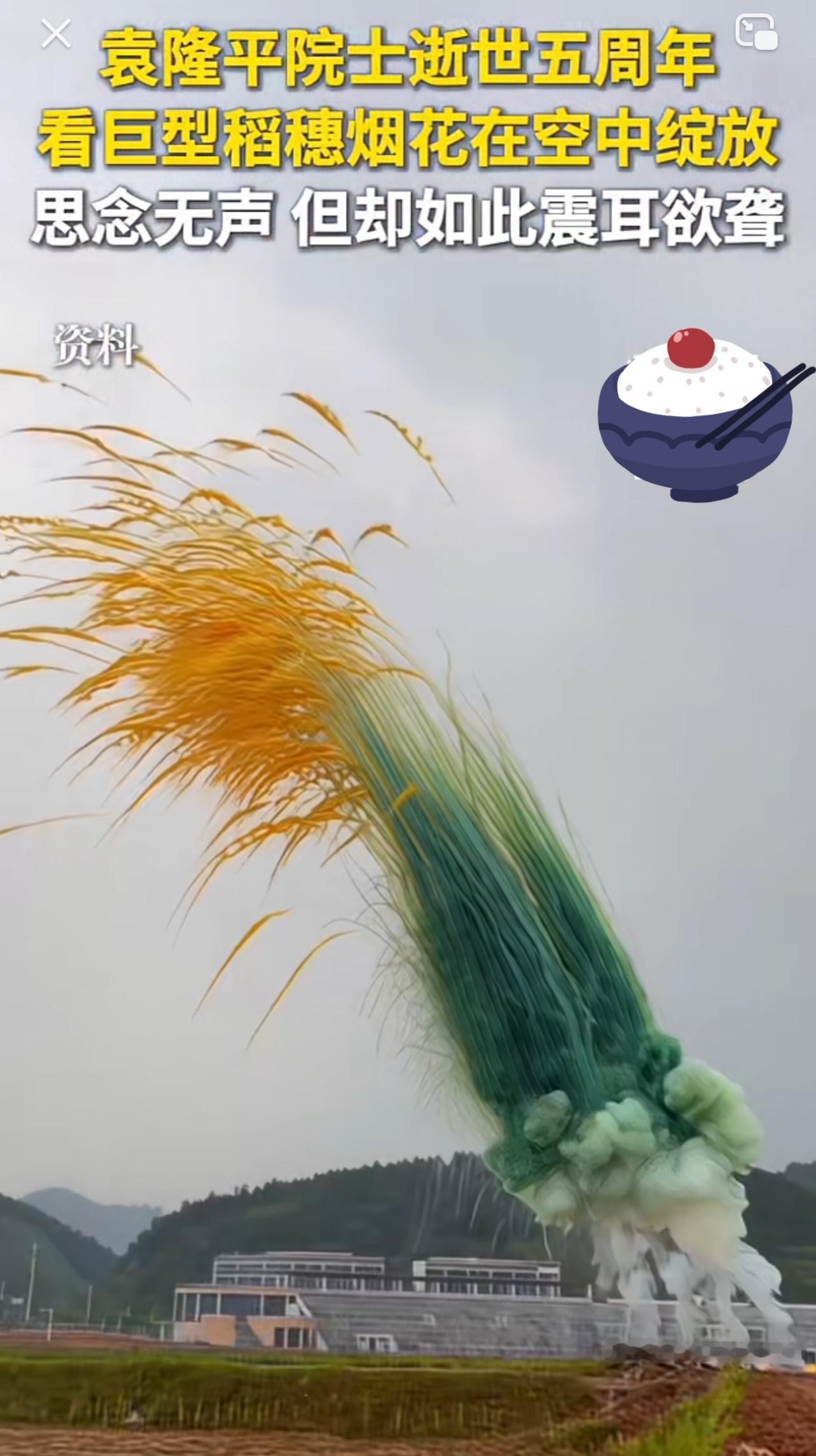 巨型稻穗烟花在天空中完美绽放，这一次的绽放是为了纪念袁隆平爷爷逝世五周年。时间过