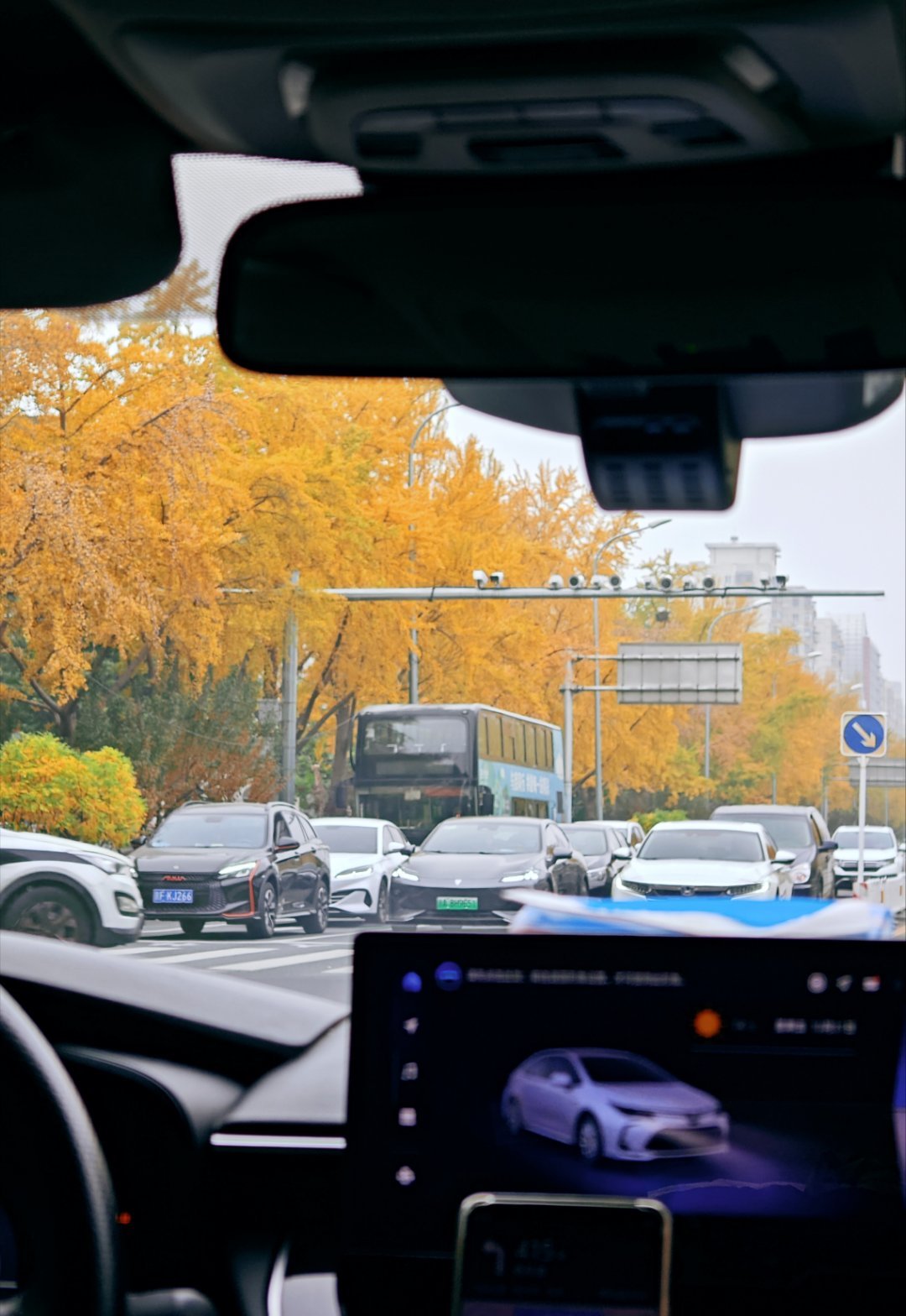 恍惚间，感觉北京的秋天才刚开始  ​​​