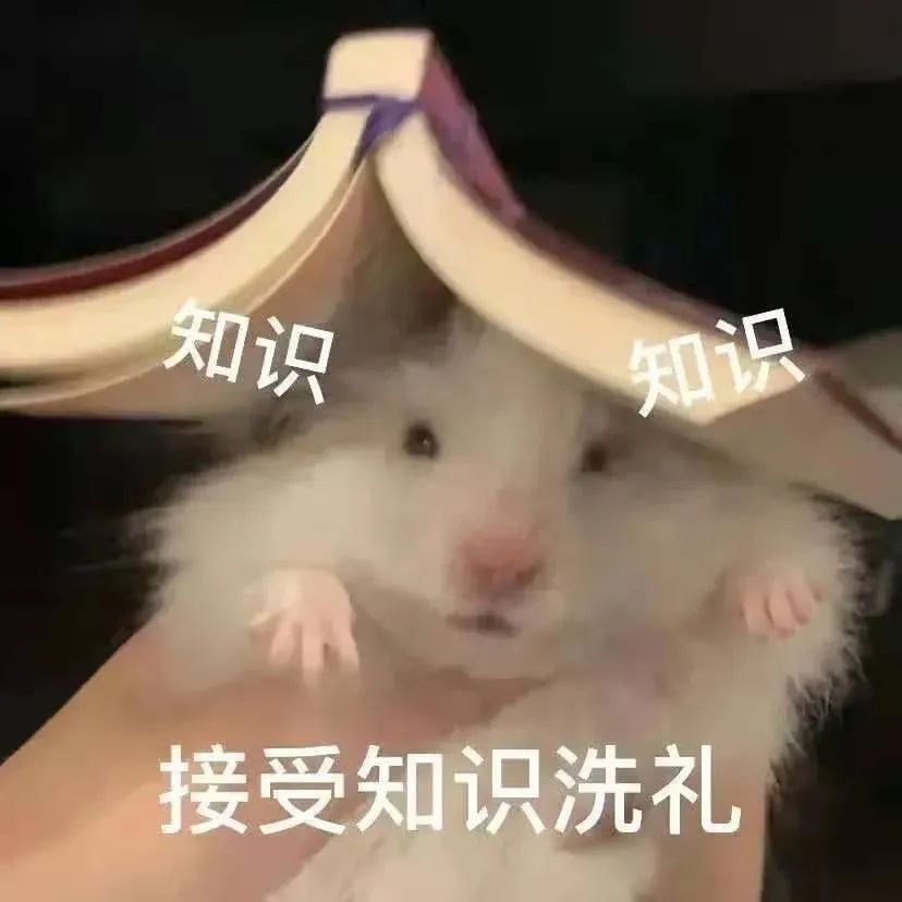 可爱的表情包来啦 更新不易，拿图点赞[心]更多表情包请看主页[心] ​​​