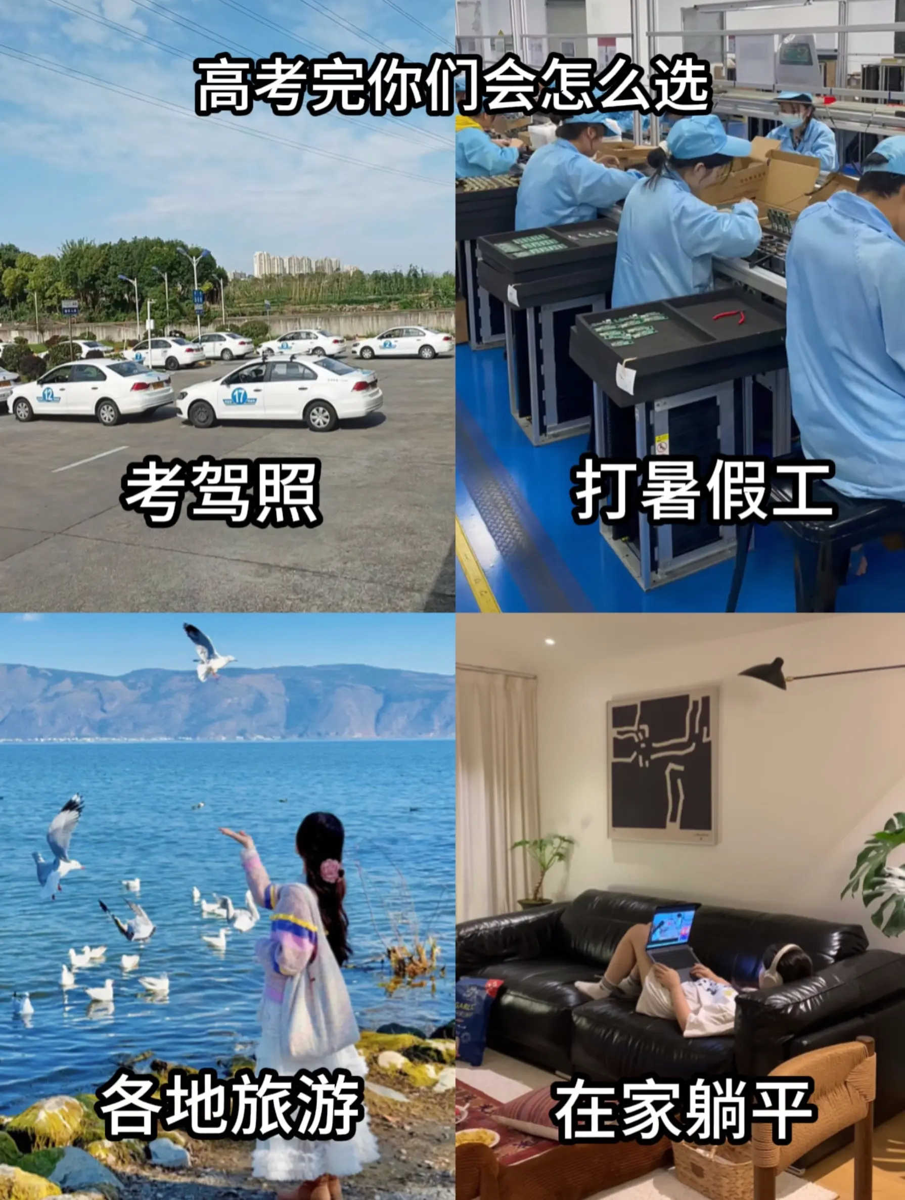 高考完你们会怎么选？