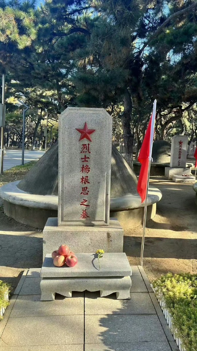 英雄们！这是祖国的阳光照在了你们的身上。 