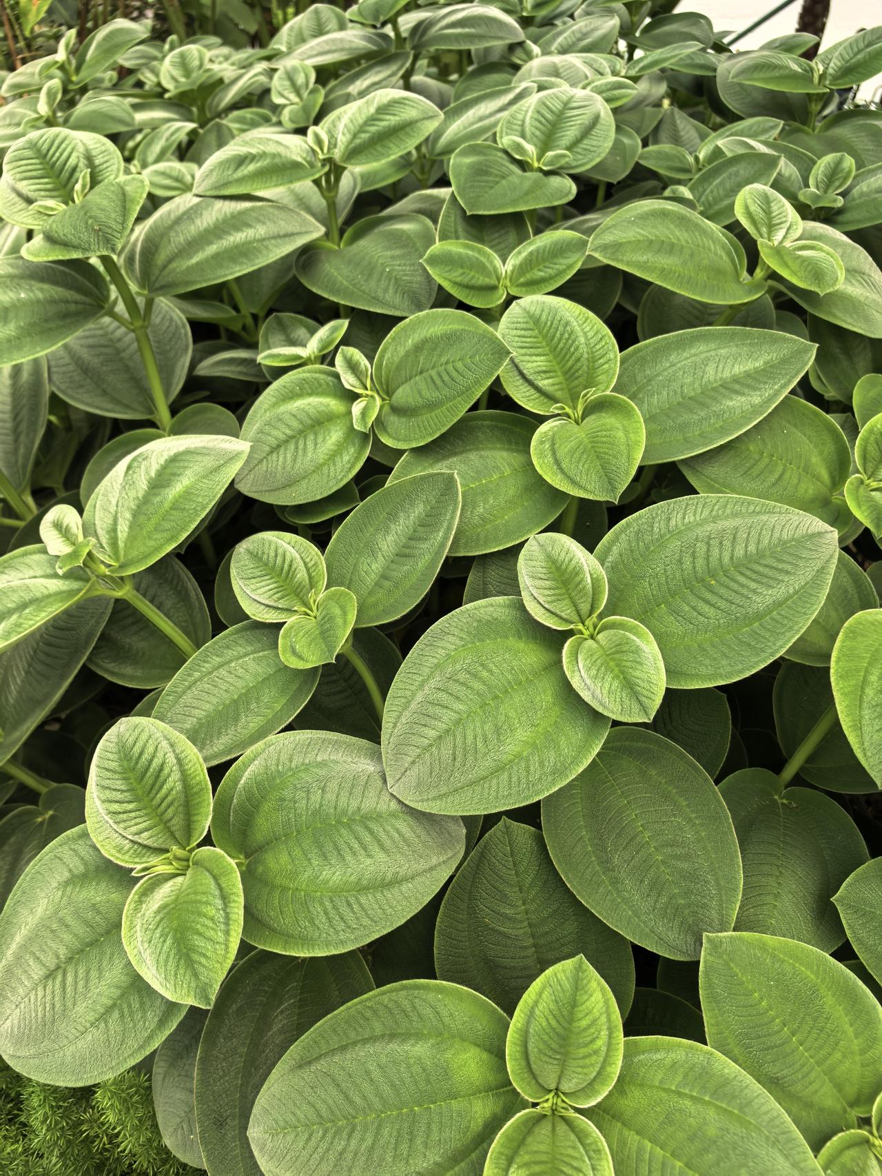 “我是你女儿，早把你赶到老家去了！”这是那天在特需心理健康门诊，主任医生激动地给