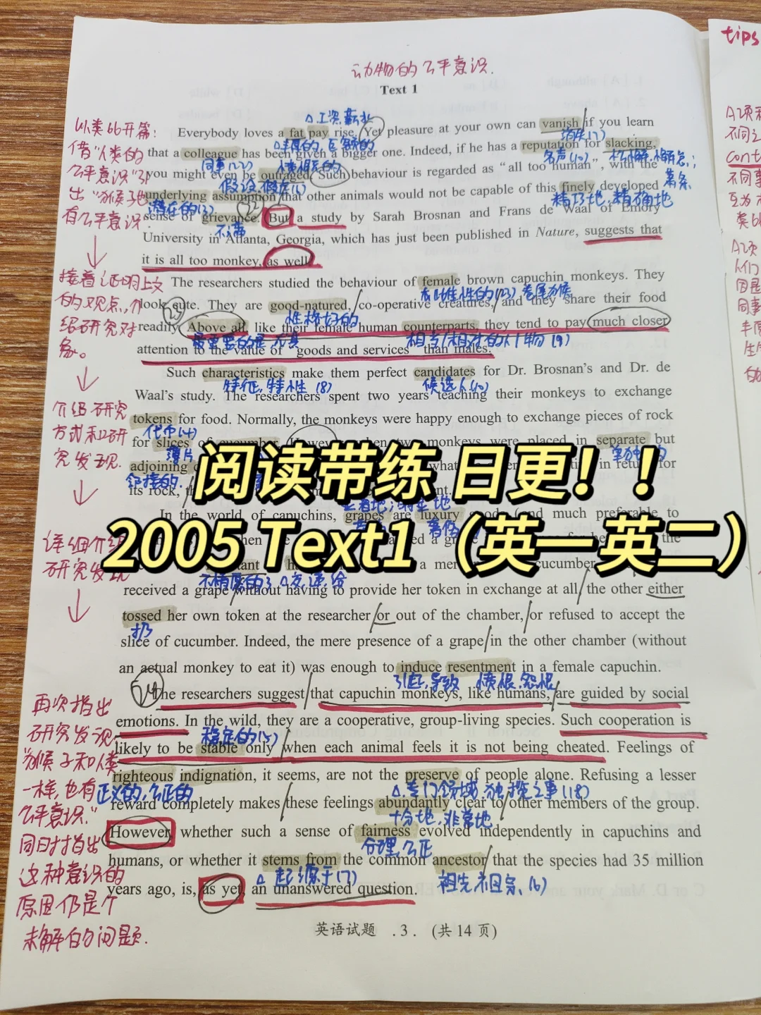 英语二88分丨阅读带练日更  2005 Text1❗❗