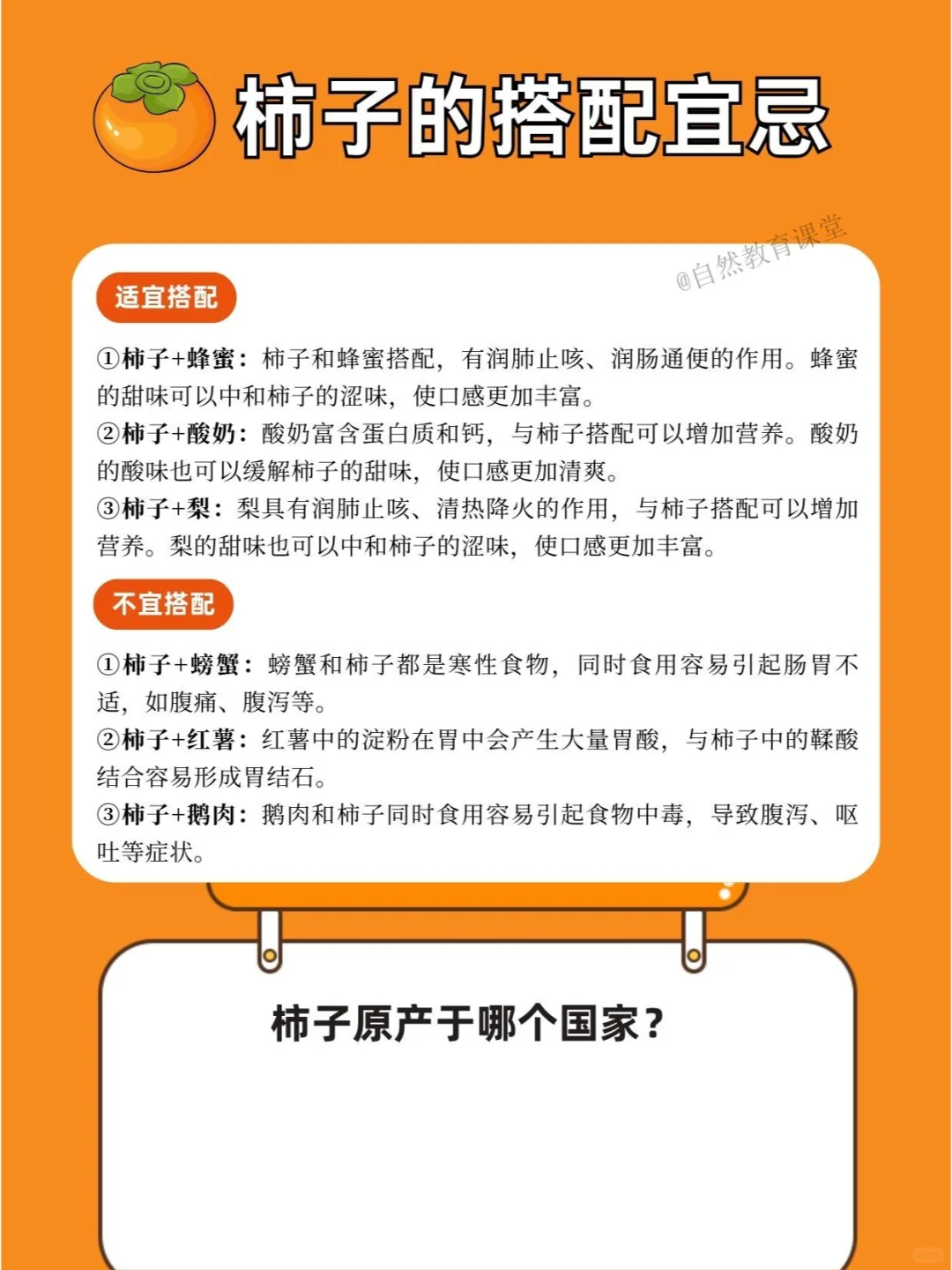 自然教育手册|“超甜的金果子”-柿子