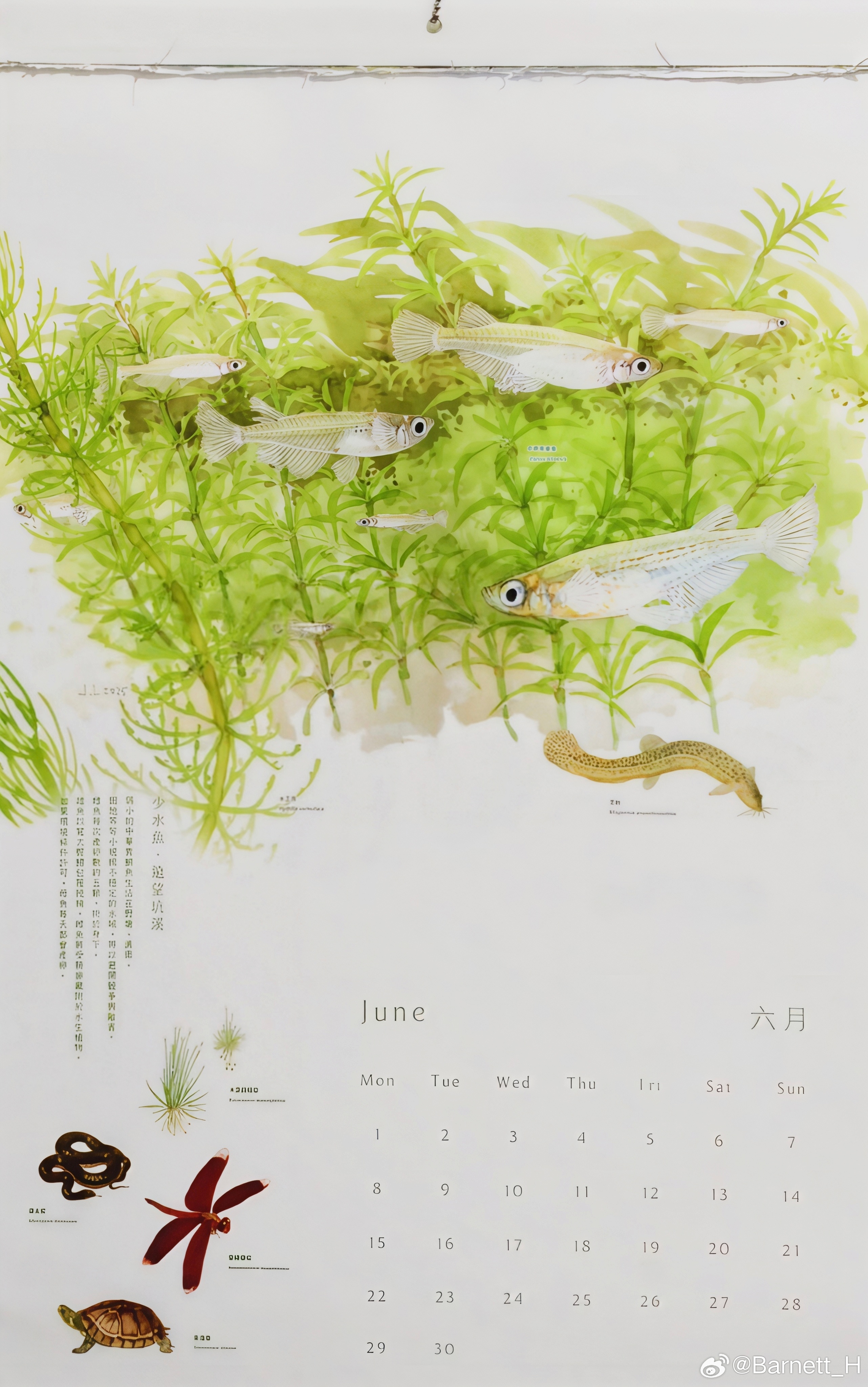 六月 李政霖 