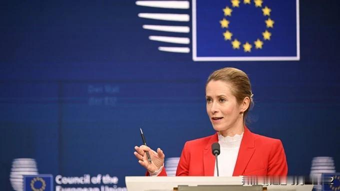 卡拉斯谈到，战后欧盟将向乌克兰提供哪些安全保障


欧盟为乌克兰提供安全保障的贡