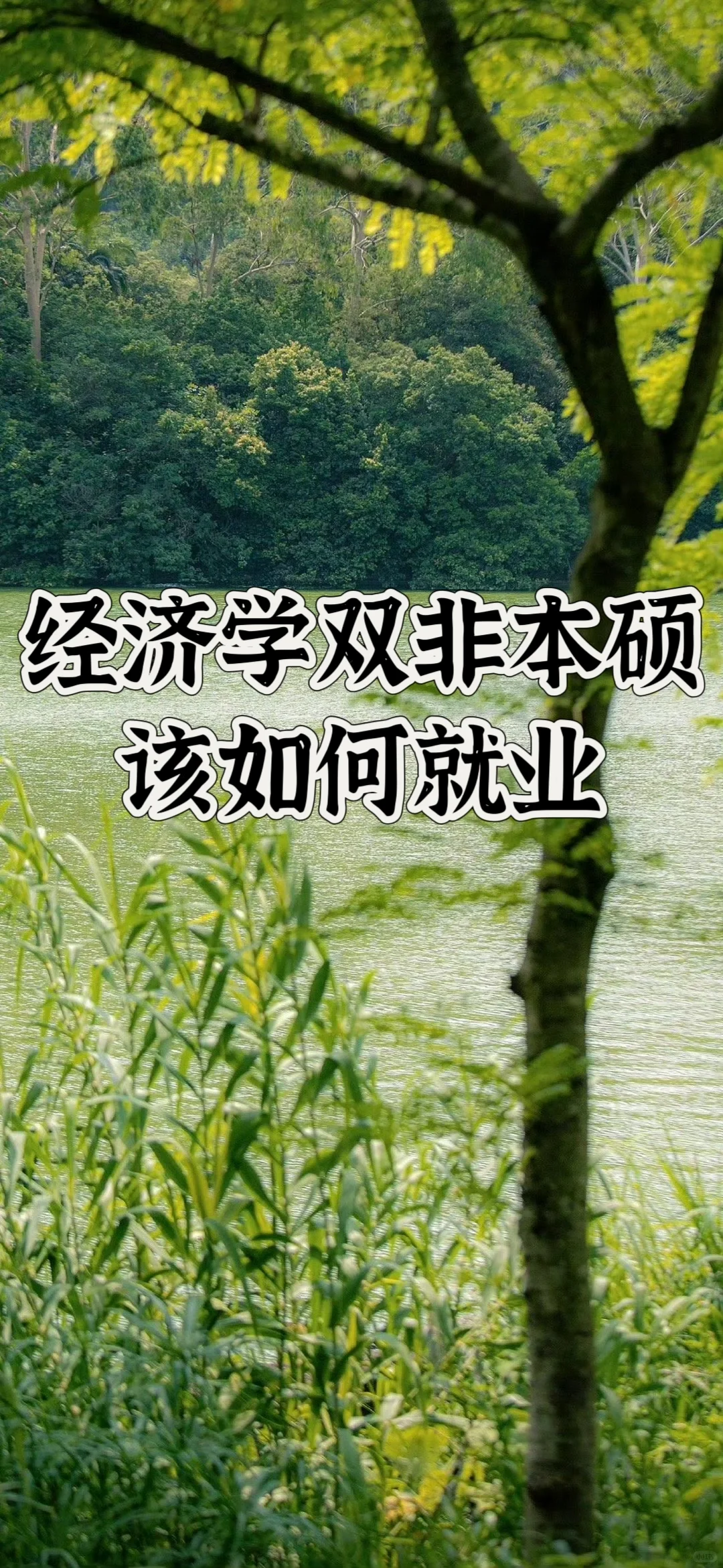 经济学双非本硕该如何就业