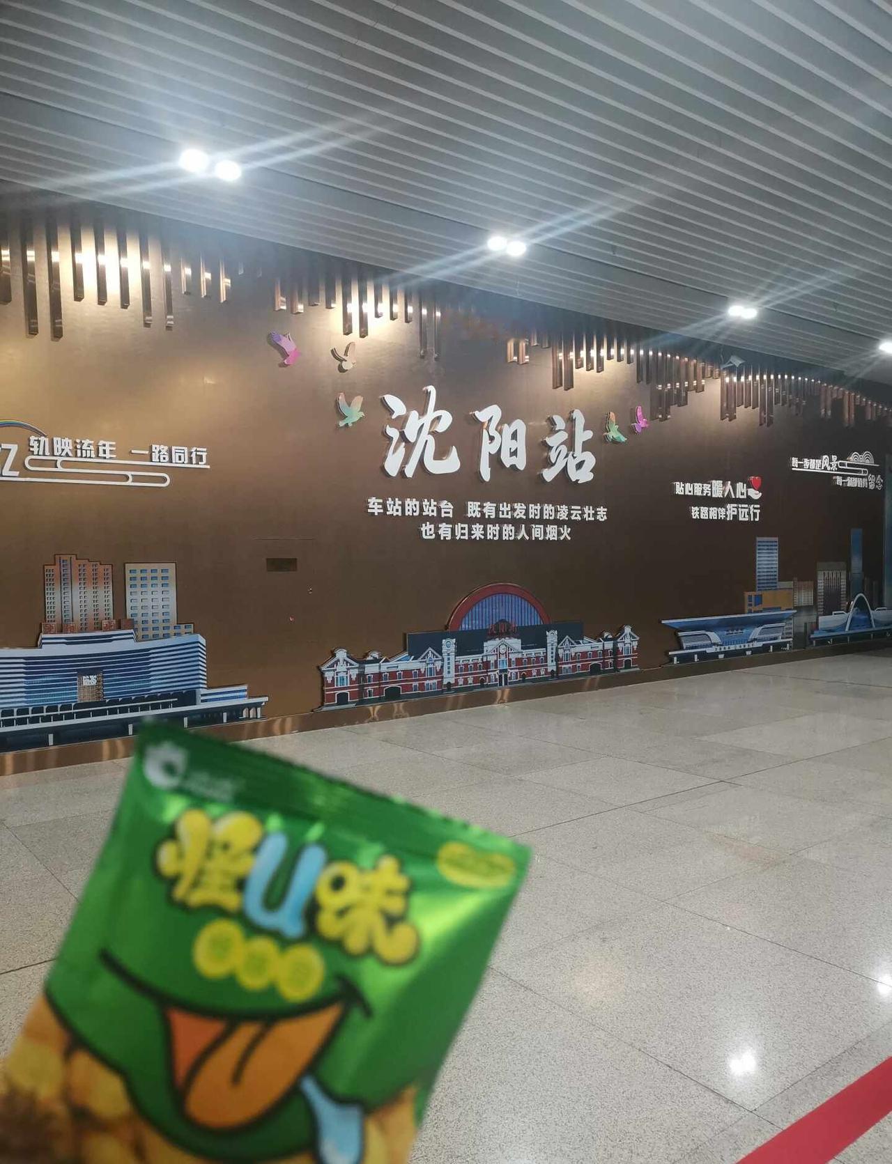 沈阳站打卡
出游带洽洽 洽洽零食 洽洽瓜子 出游必备 出游零食 快来打卡吧 火车