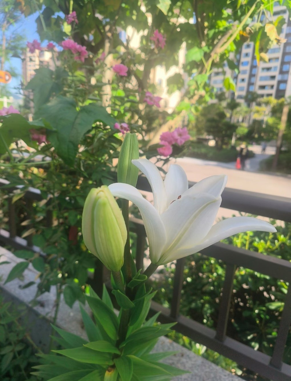 事以密成，言以泄败，成大事者，守口如瓶。当你达到一定高度，就会拥有上帝视角。活明