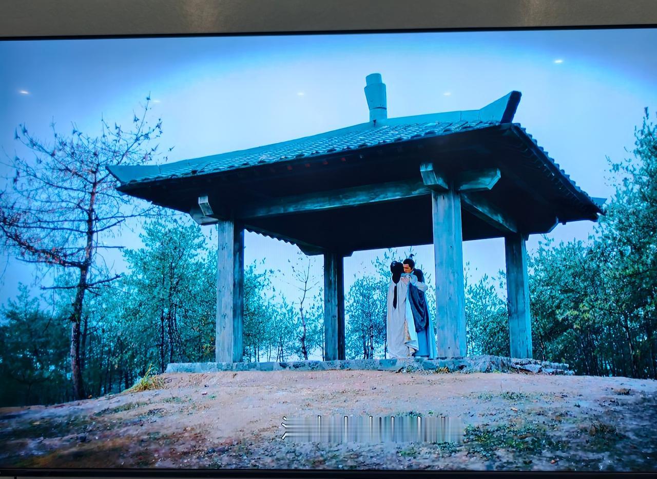 在家看《琅琊榜》，刘涛演技真好啊！