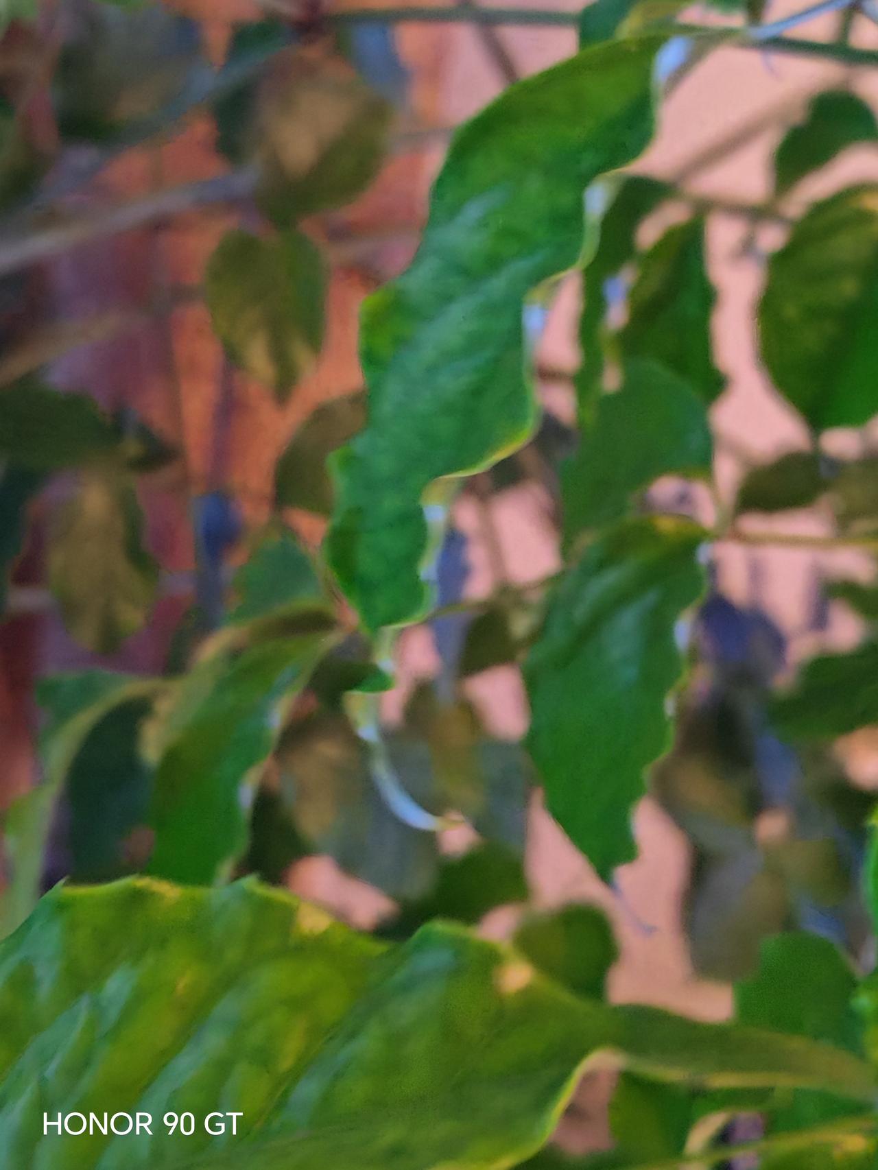 外出旅游，快乐每一天。