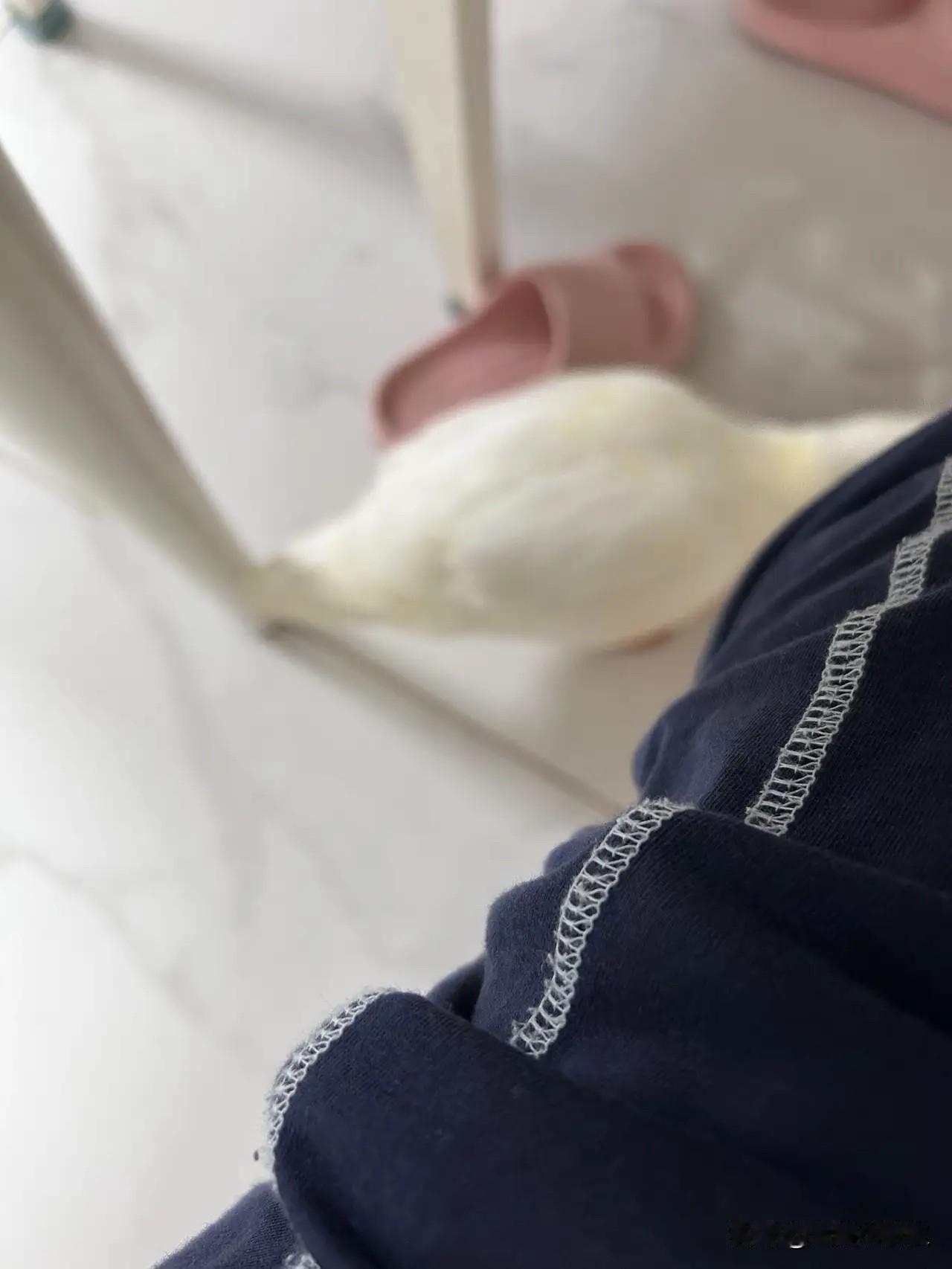 葛老头要罢工

葛老头以前早晨送孙女上学回来，第一件事要进屋盘炕，如今不行了，回