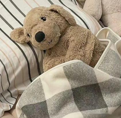 嘎“梦见和同事一起吃小蛋糕，大家都说好好吃，我就也觉得好好吃”Z“又在梦里吃东西