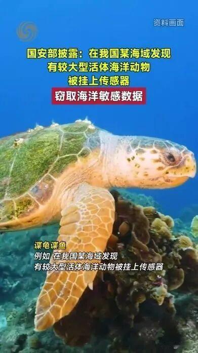 近日，国家安全部通报了一种极具欺骗性的窃密手段：境外间谍机关将黑手伸向海洋生物，