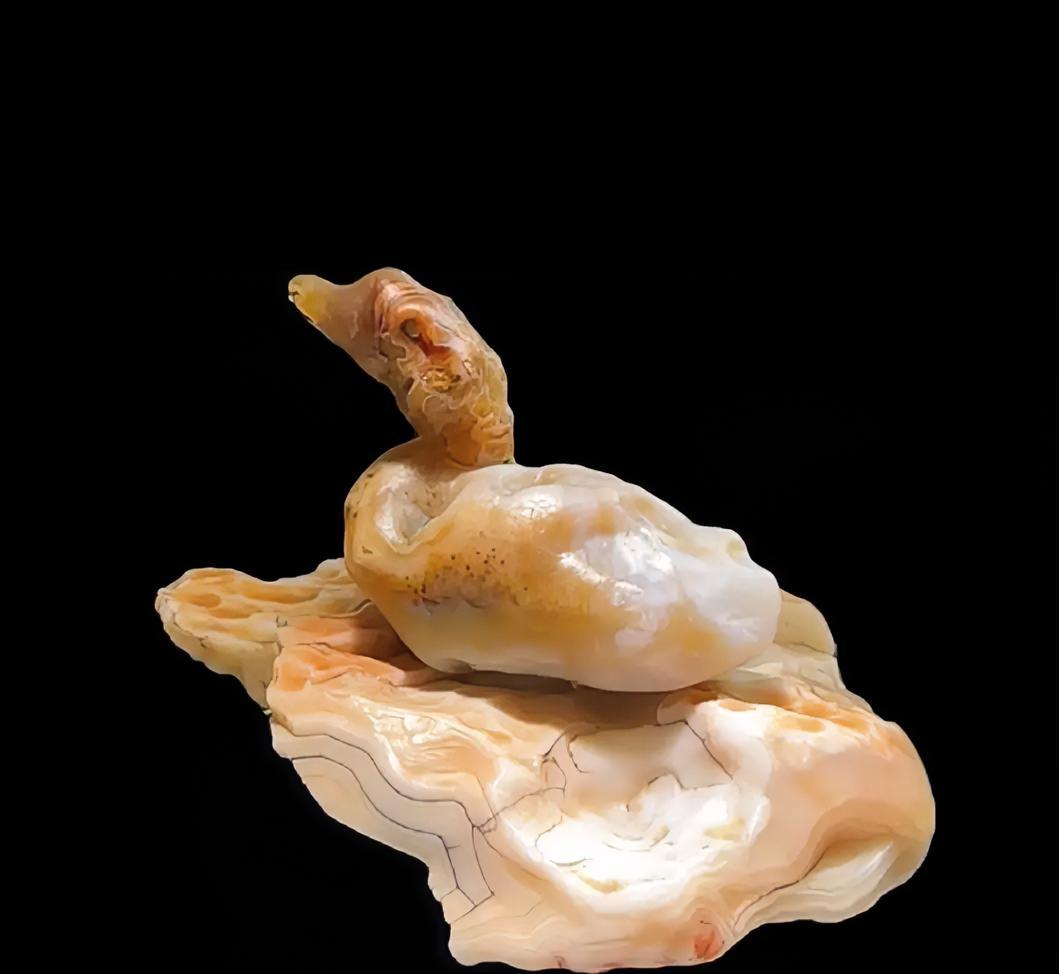 组合作品