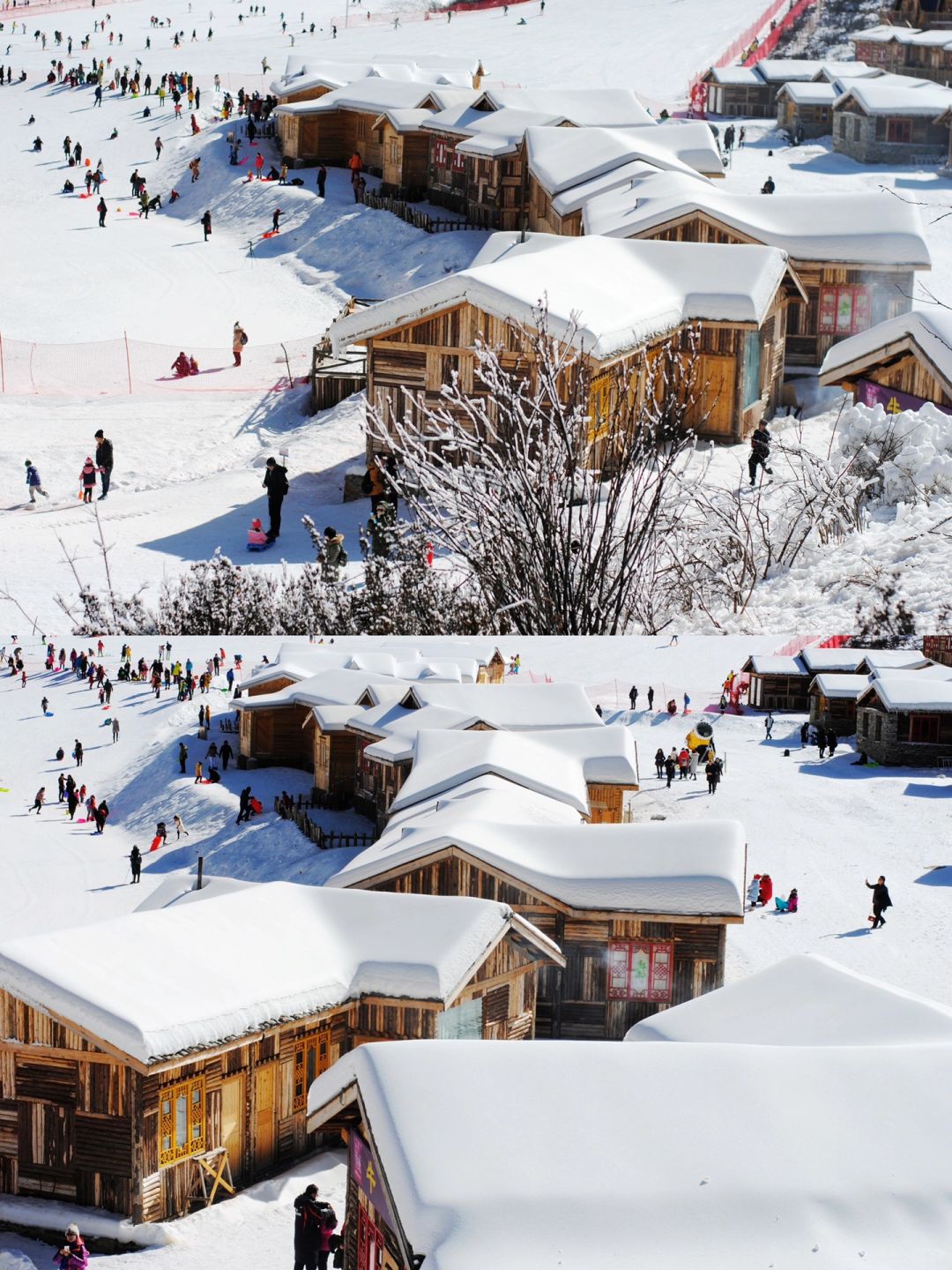 意外发现，川西高原的雪乡