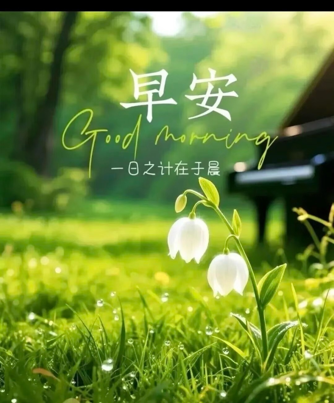早安  ²⁰²⁶/₀₇.₀₃ᵕ̈ 𝓢𝓾𝓶𝓶𝓮𝓻 𝓥𝓲𝓫𝓮𝓼