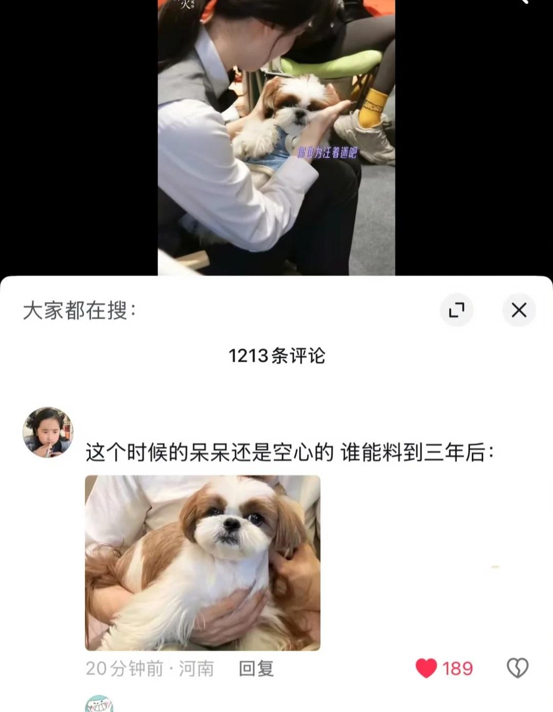 哈哈哈 刷到个对比图 这么看檀小呆这三年还是悠着了 [笑哭]
一起期待 6月15