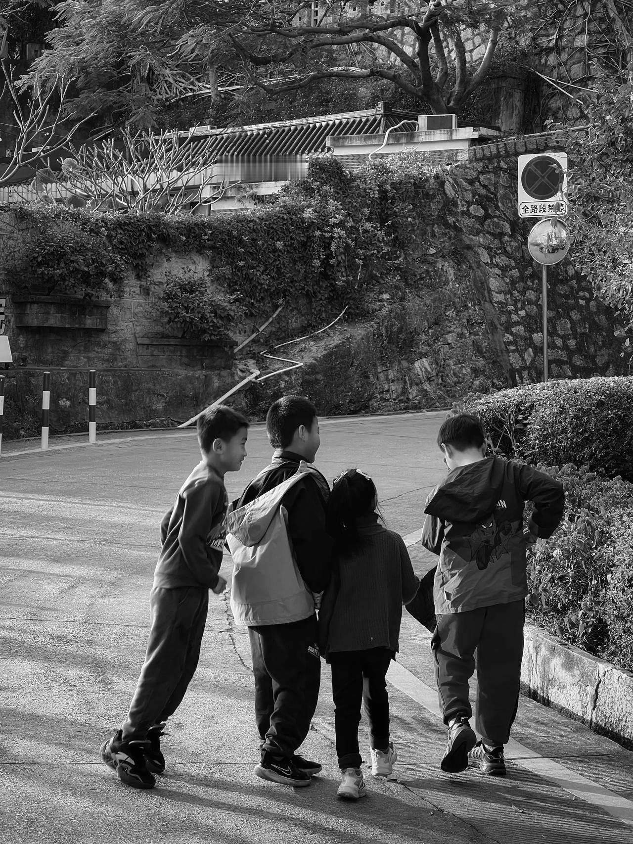 街拍厦门。2025年（厦门白鹿路，降温了）

摄影人选择了人文纪实摄影，也就记录
