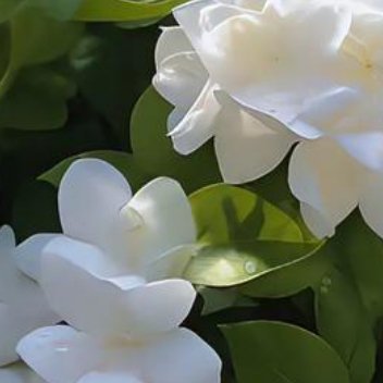 正能量如何才能遇到更好的人呢？先学着遇见更好的自己吧，然后呢？当你成为更好的自己