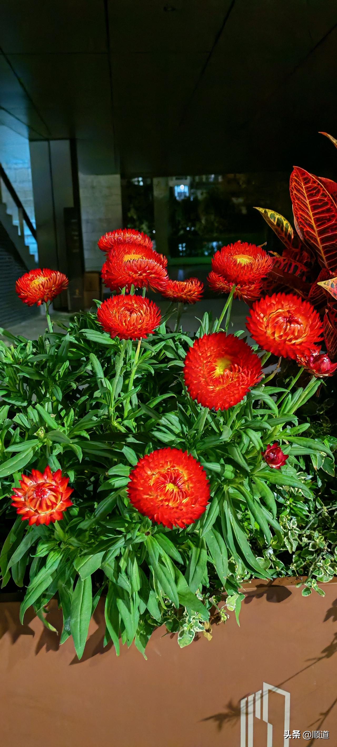 自从过年放4天假，我躺平4天，后遗症来了，就是知道困了，尤其是上班前，就想睡觉。