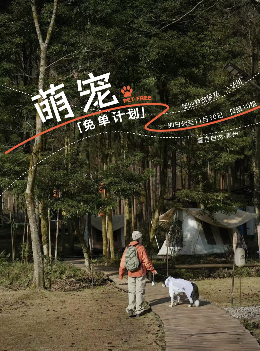 【宠物试睡】🐾带上毛孩子，进山秋游啦！