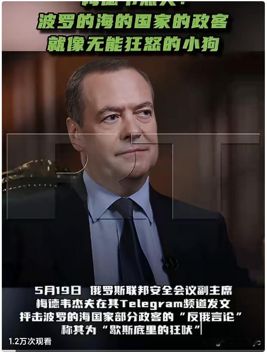 5月19日，俄罗斯联邦安全会议副主席梅德韦杰夫在其Telegram频道发文，抨击