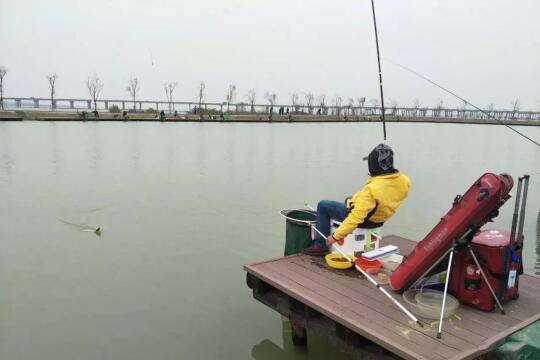 钓黑坑无限回锅鲤鱼用饵的两个极端