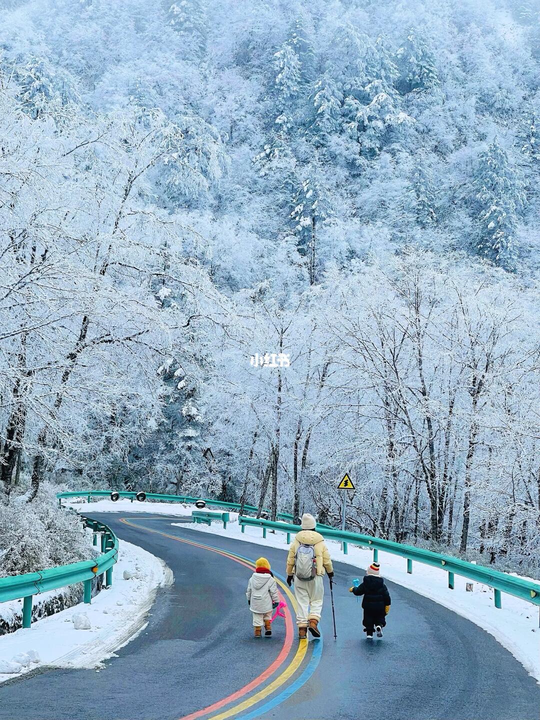 成都周边2.5h｜偶遇现实版冰雪奇缘童话森林~