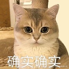 谁懂啊福州话真的上头福州话那个尾音真的很有辨识度，拖得长长的听着特别有味道 