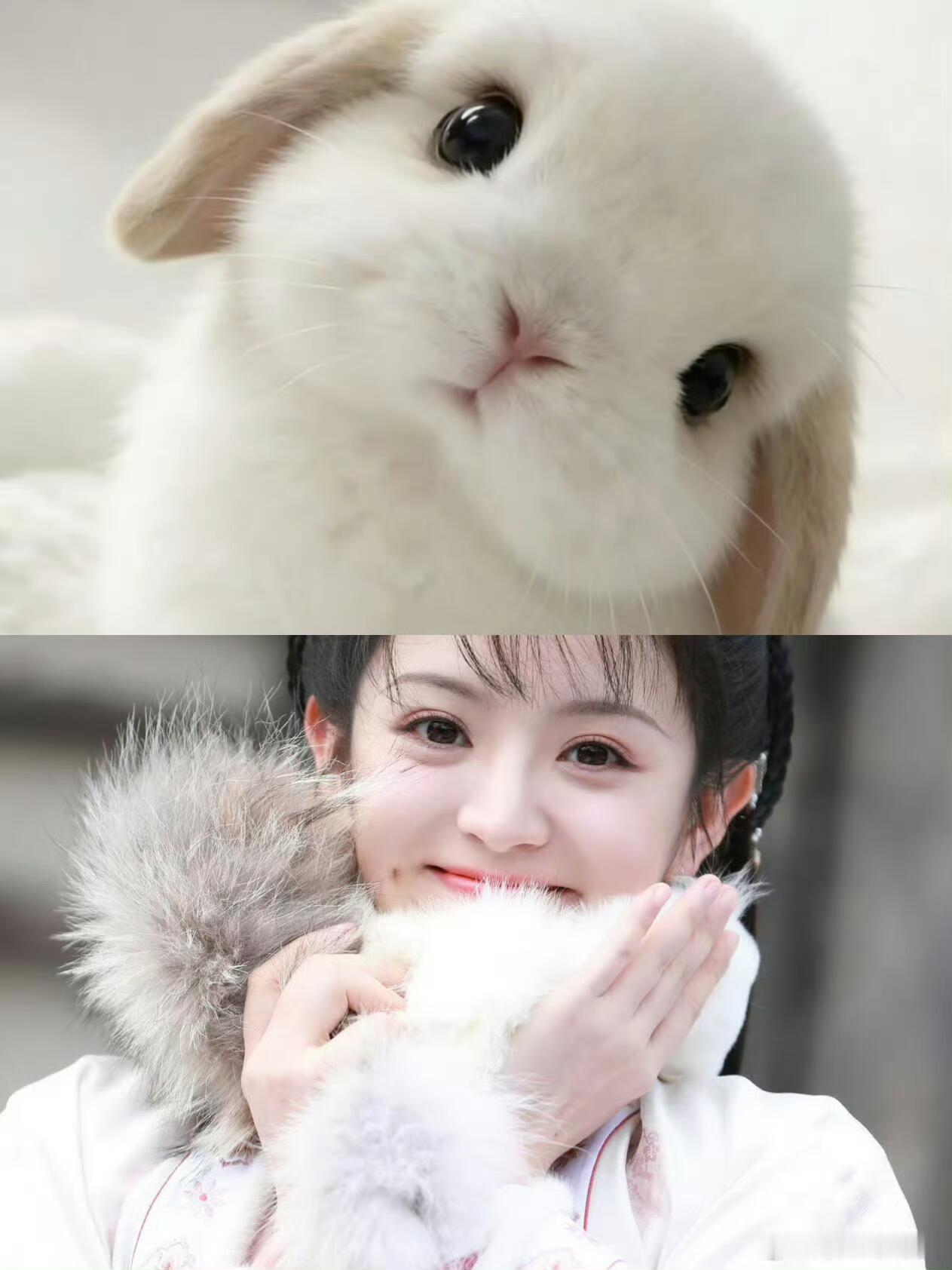 田曦薇角色动物塑 