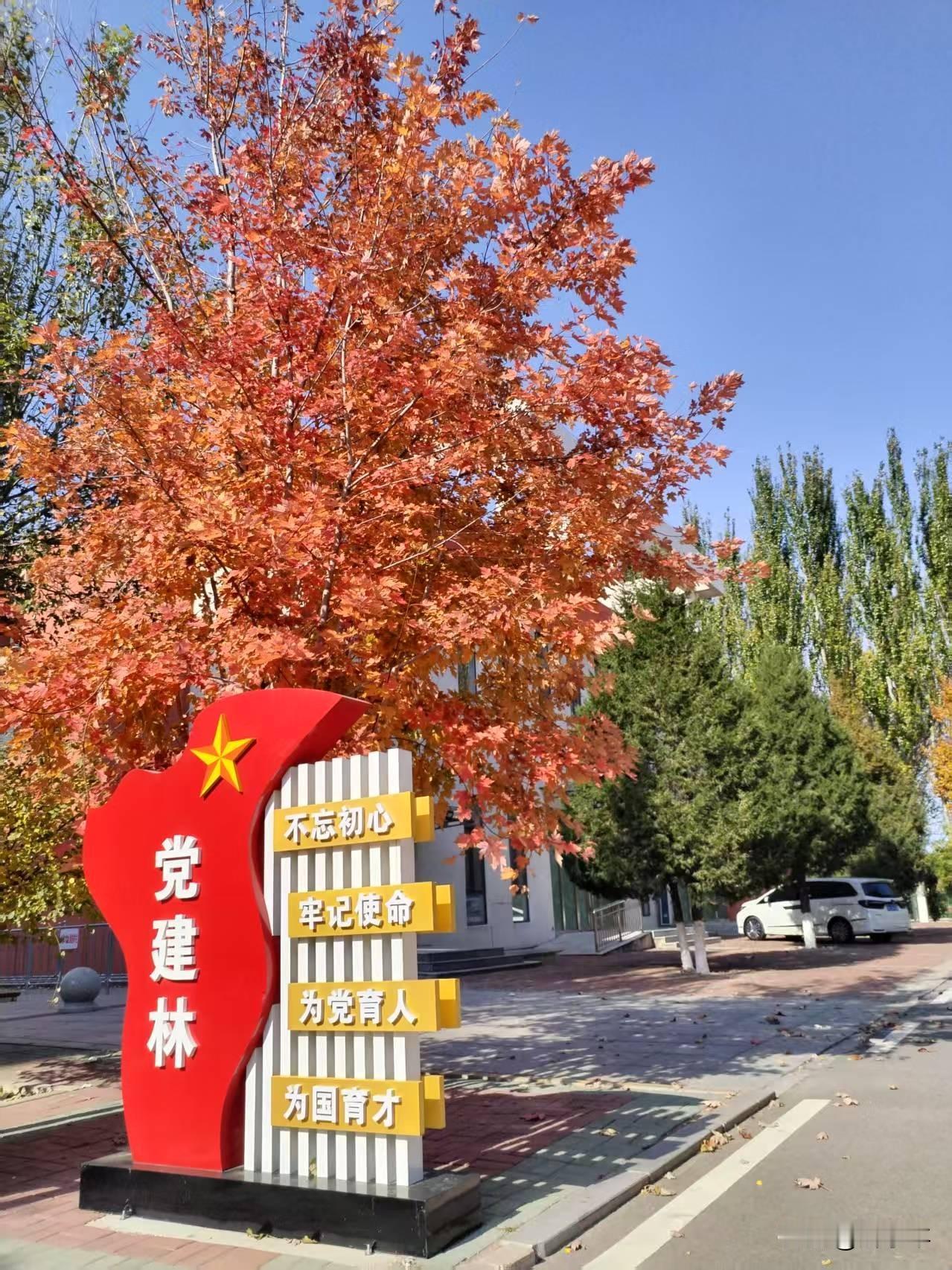后面有一轮周线级别反弹，指数从最低开始反弹三成左右，时间十一月十二月，截止一月份
