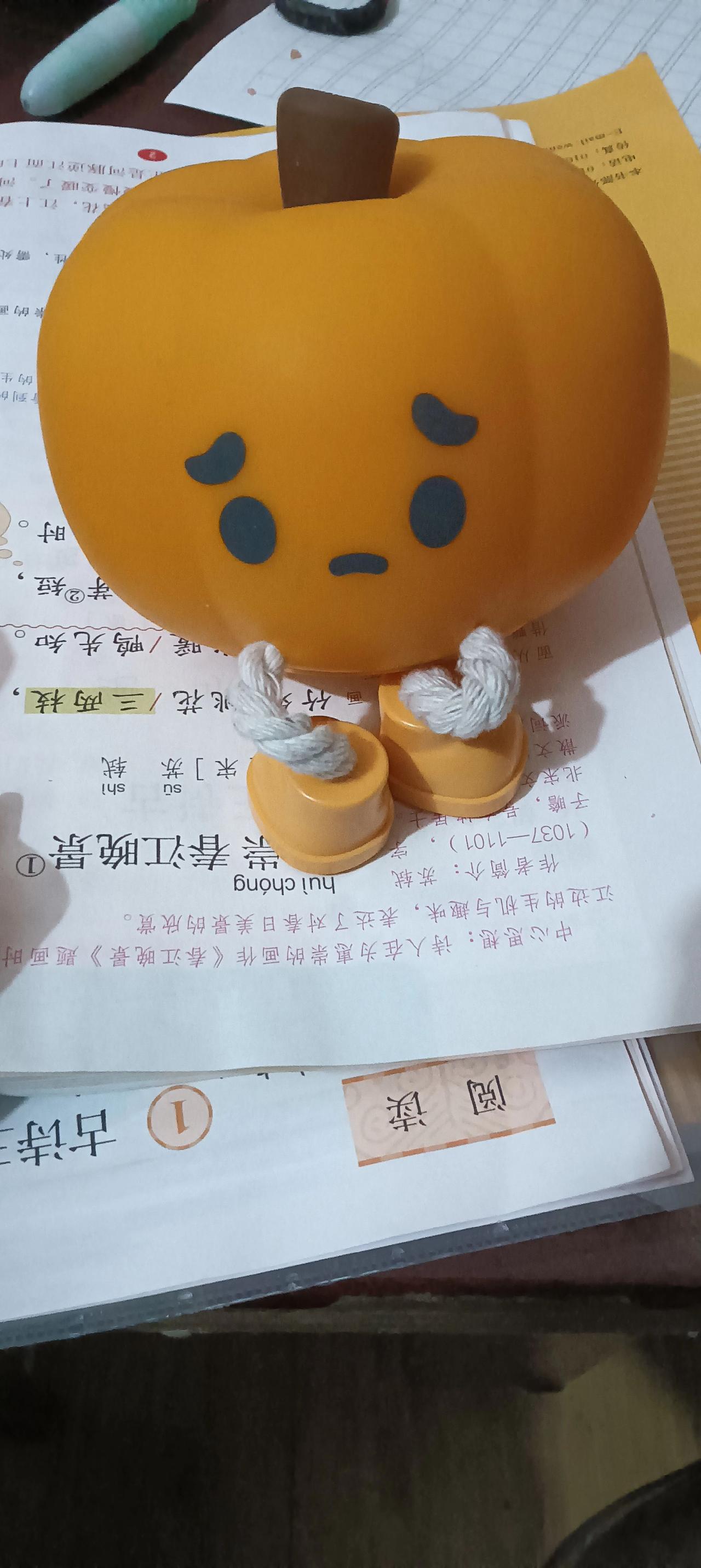 买了半年了夜灯！刚开始我说的是蘑菇灯！孩子说，妈妈这家伙叫南瓜灯！不是蘑菇灯！唉