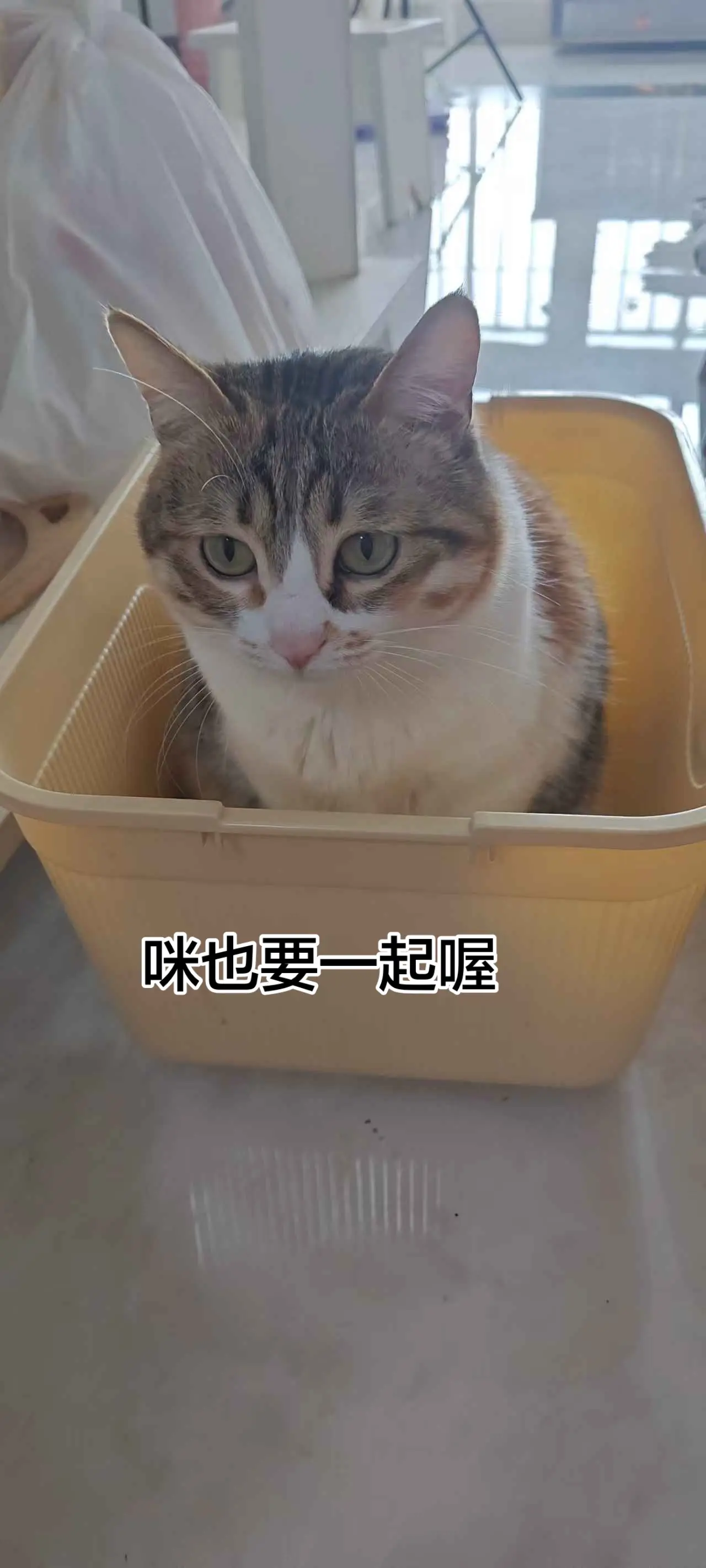 我们要一起走。