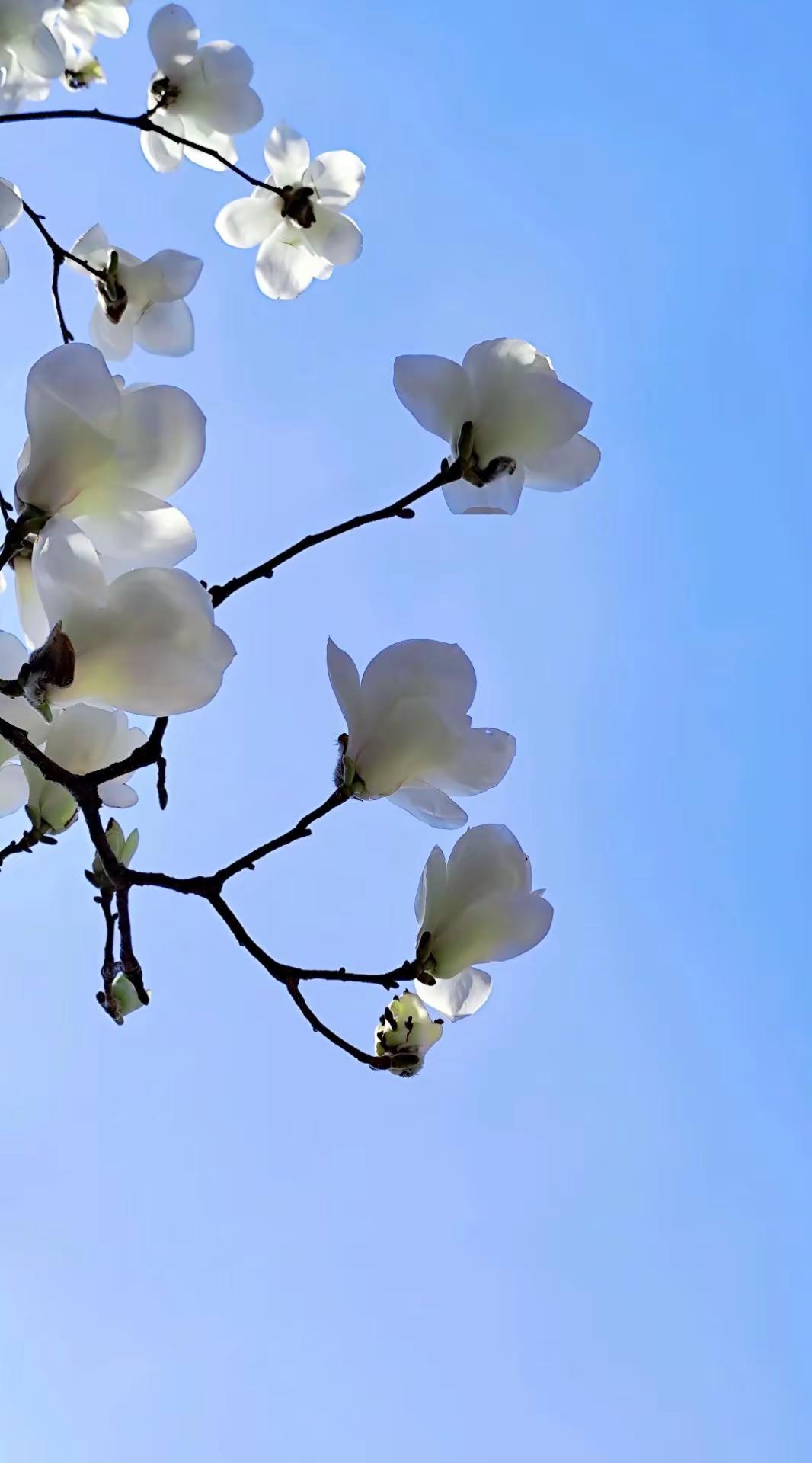 相由心生。@ 感悟 交友 心得