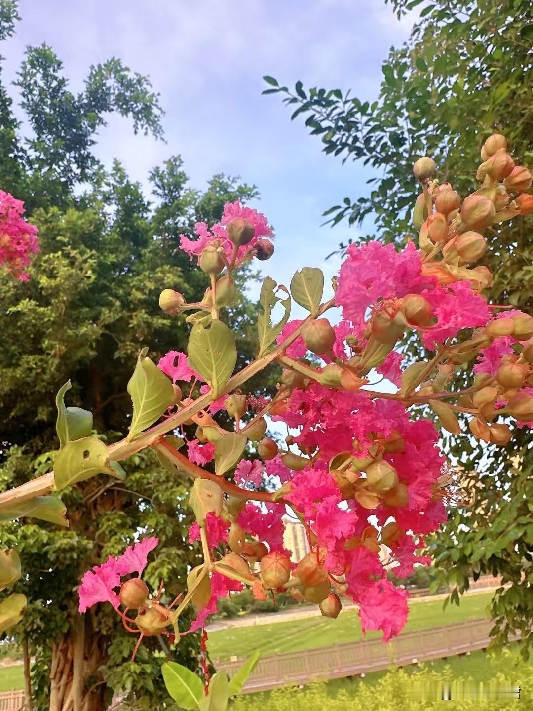 大家以后千万不要帮这样的人照看孩子！一女子，因为自己要去美容院做美容，她把三岁的