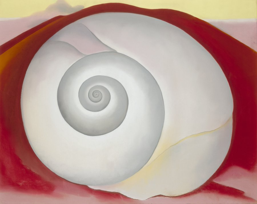 White Shell, 1938Georgia O'Keeffe (1887-