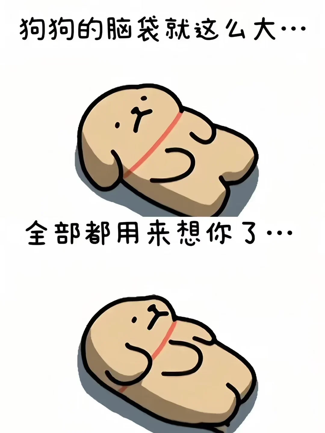 谁惹可爱的小鸡毛生气啦！