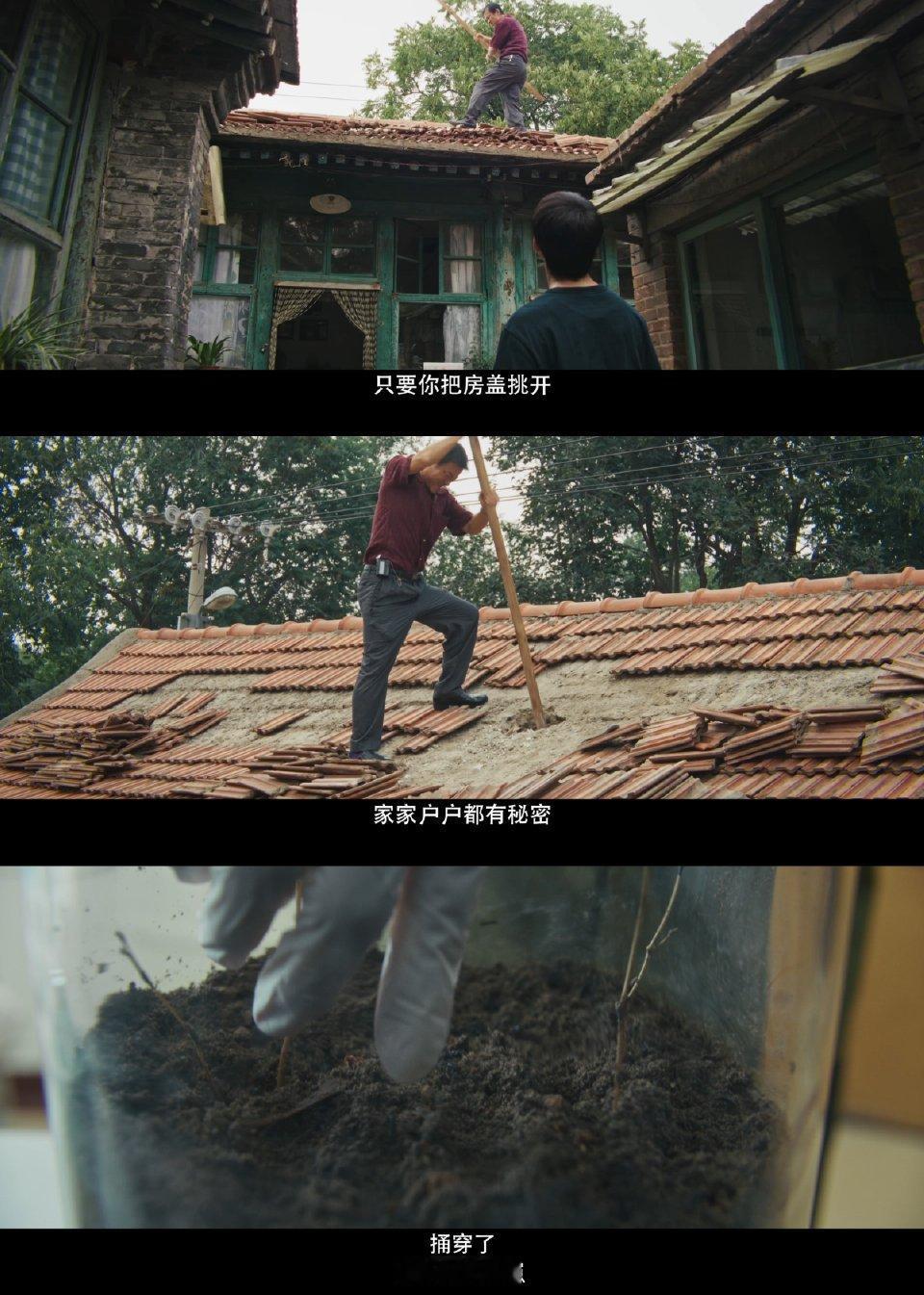 树影迷宫定档树影迷宫迷雾剧场《树影迷宫》定档11.1！廖凡尹昉师徒追凶18年，井