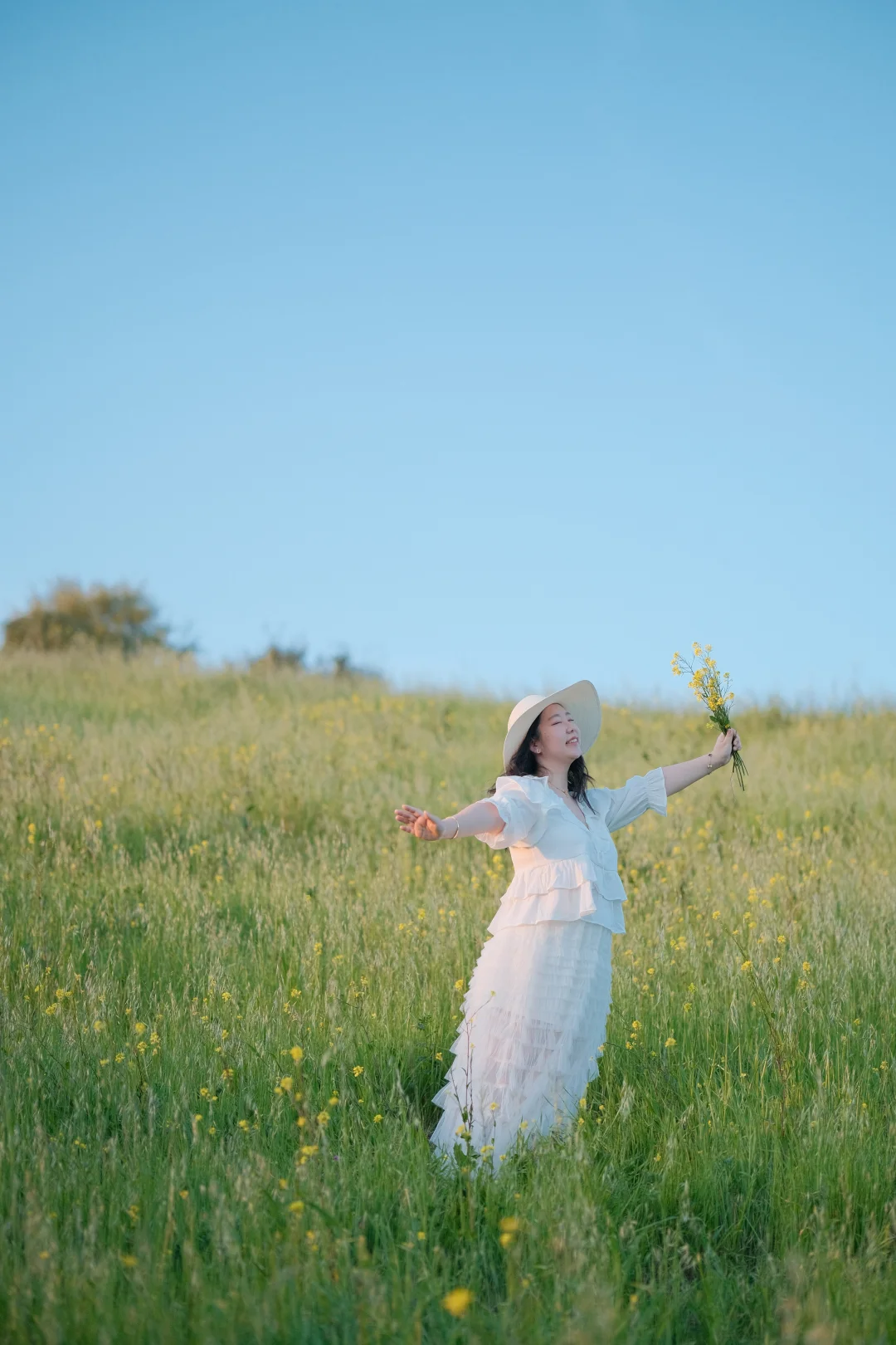 湾区路边的油菜花太出片了！周末好去处