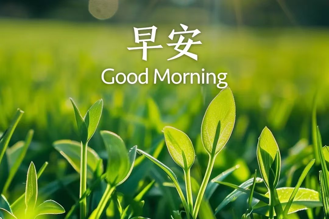 生活再糟，也不妨碍你越来越好，要坚定，要勇敢，要像小太阳一样发光！早安朋友们[太
