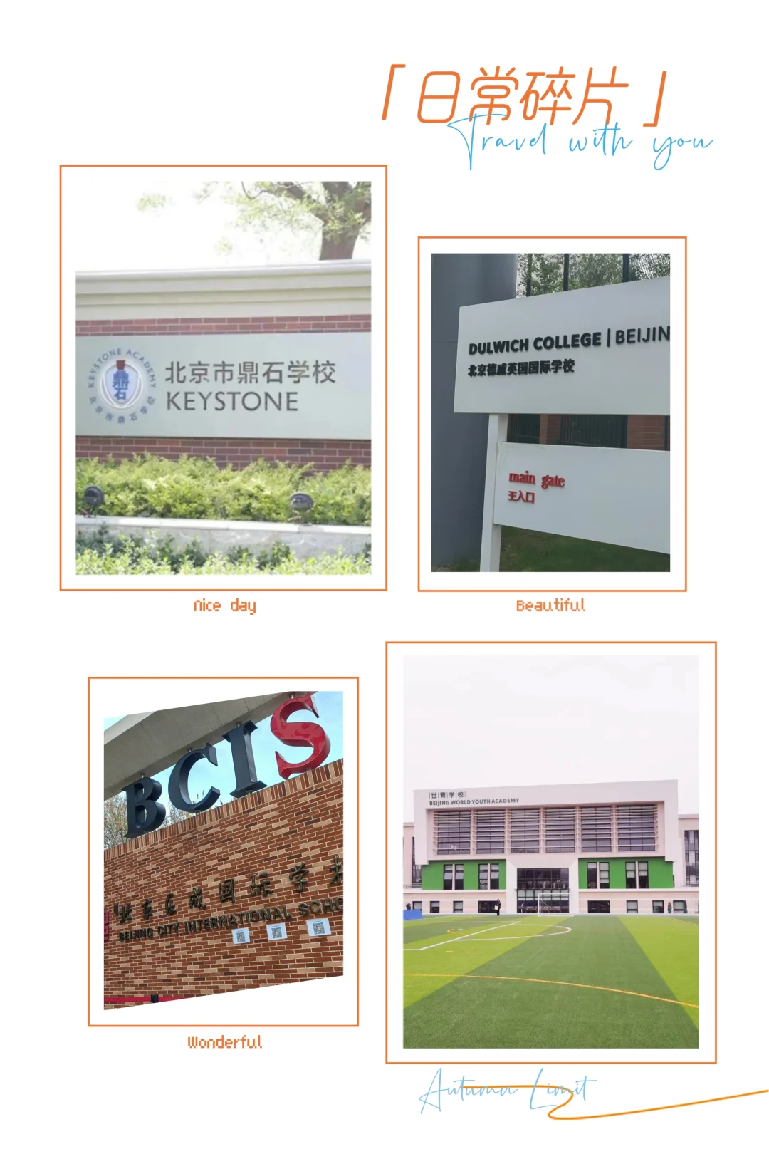 鼎石、德威、世青流失率超过20%！为什么？