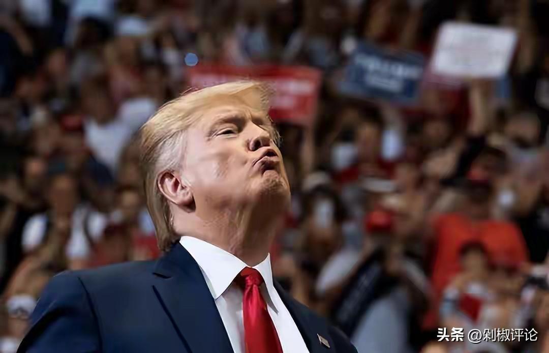 有网友在评论区打了个比方：特朗普要拿下格陵兰岛，这就好比黑社会老大看中了自己小弟