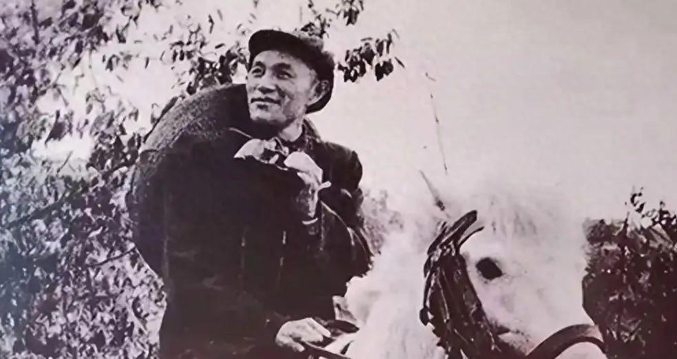 川西林业局局长历经二十年寻找妻子，生命尽头终于得见一面，他的临终遗言感动了所有人