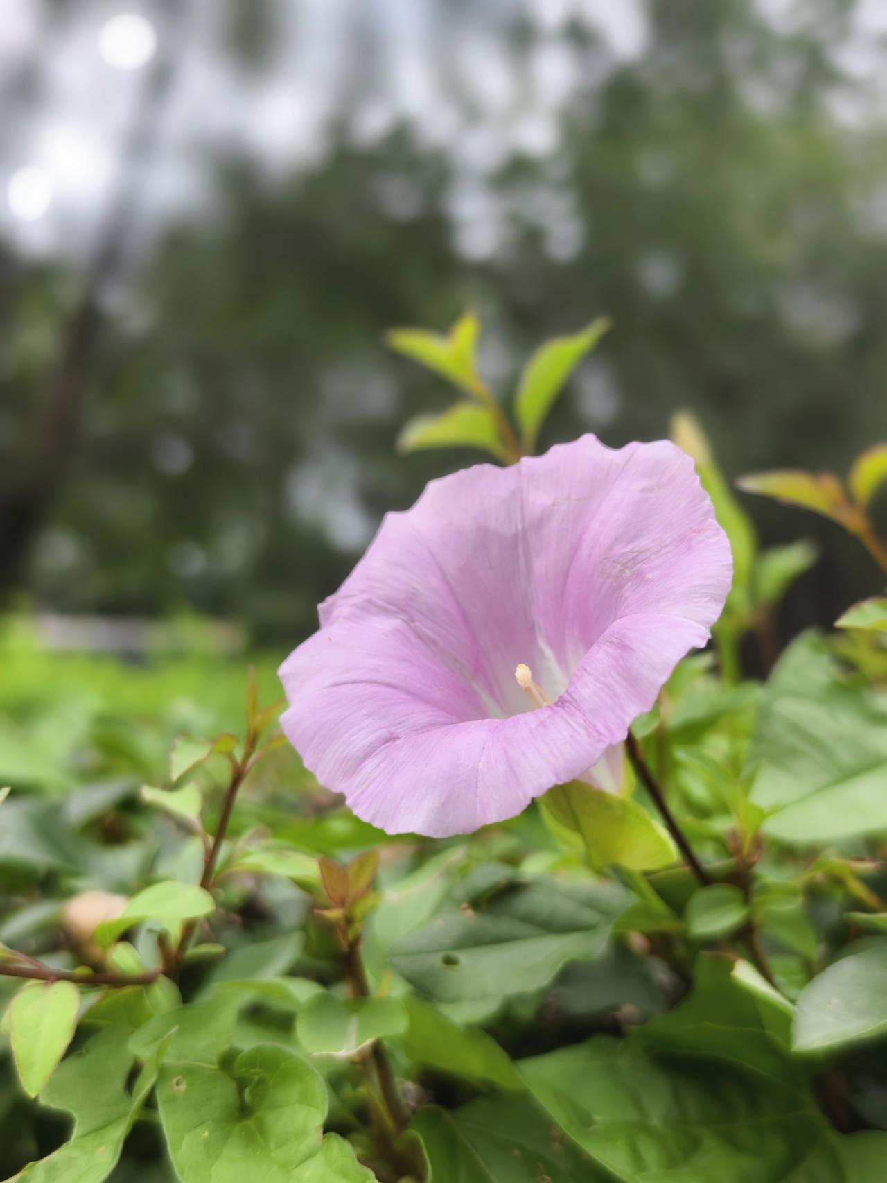 今天大暑上蒸下煮！记住3件事，平安过最热15天
别怪我没提醒你，7月23日，大暑