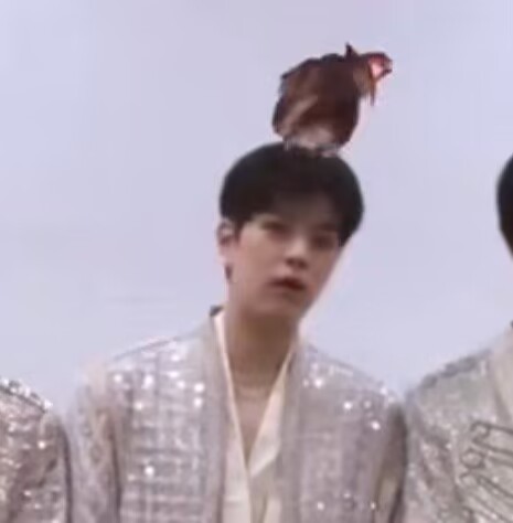 #StrayKids甩鸡#不儿 这个词条笑吐了 ​​​