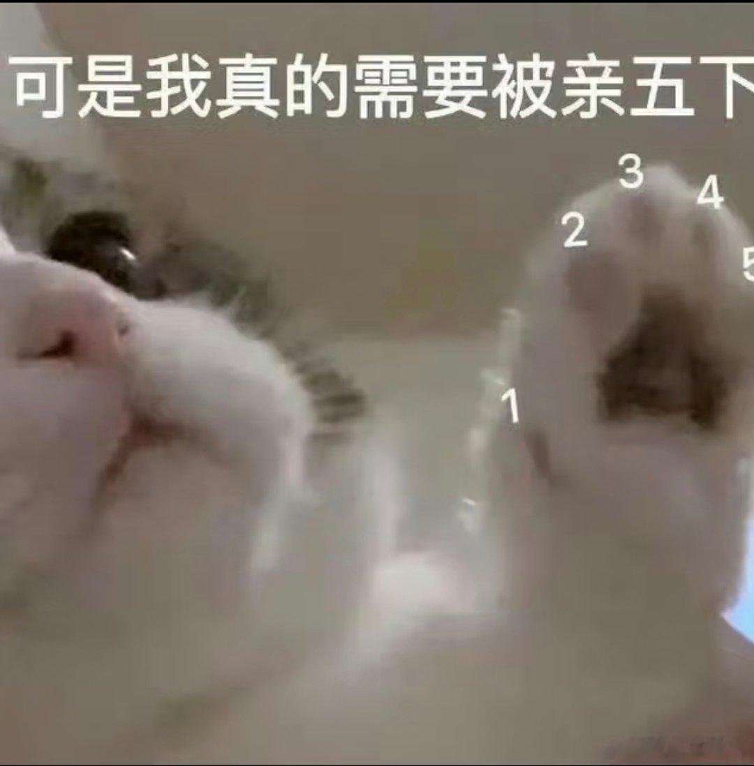 每天都要星星哄一下才有力气起来继续奋斗的我~BE LIKE: 