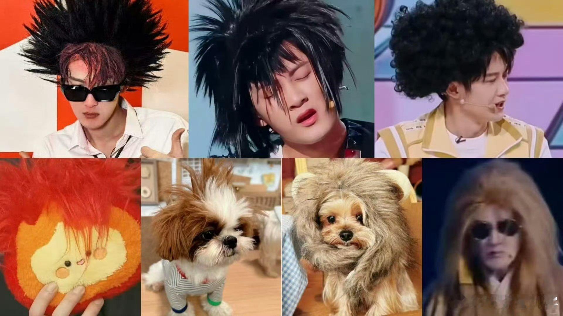 cos惩罚解锁的隐藏萌点！蓬松炸毛造型自带喜感，怒音唱歌魔性又上头，帅哥果然ho