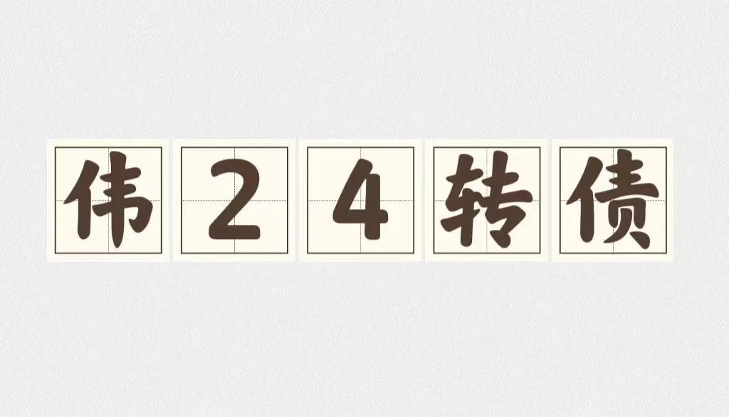 伟24转债上市价格预测：预计最终价格大概率超过200+

转债情况：发行规模：2