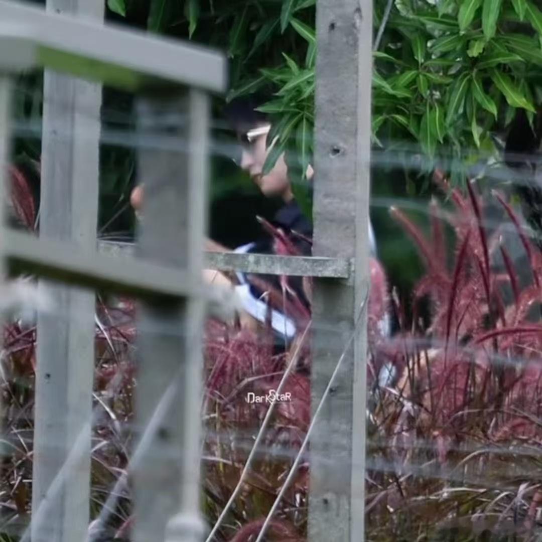 王俊凯环绕式欣赏鸡蛋王俊凯养的鸡下蛋了王俊凯养的鸡下蛋了，环绕式欣赏这枚🥚，太